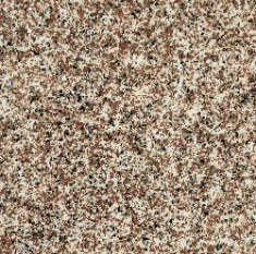 Coastal Bronze